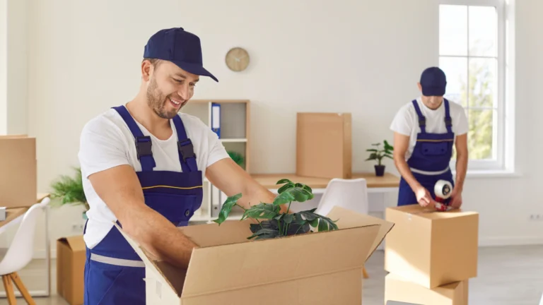Full-Pack vs Self-Pack Removal London: Pros, Cons & Cost