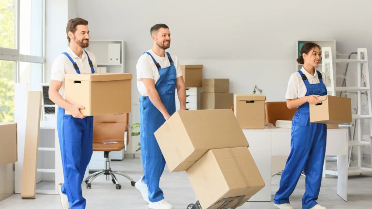 Same-Day House Removal Croydon: Is It Possible and How Much?